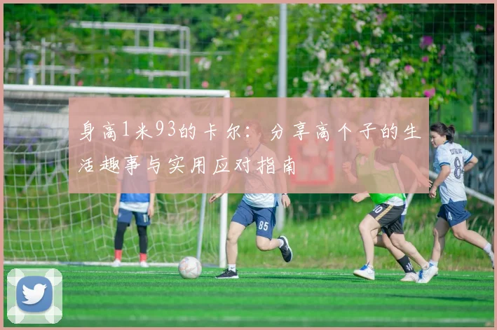 身高1米93的卡尔:分享高个子的生活趣事与实用应对指南